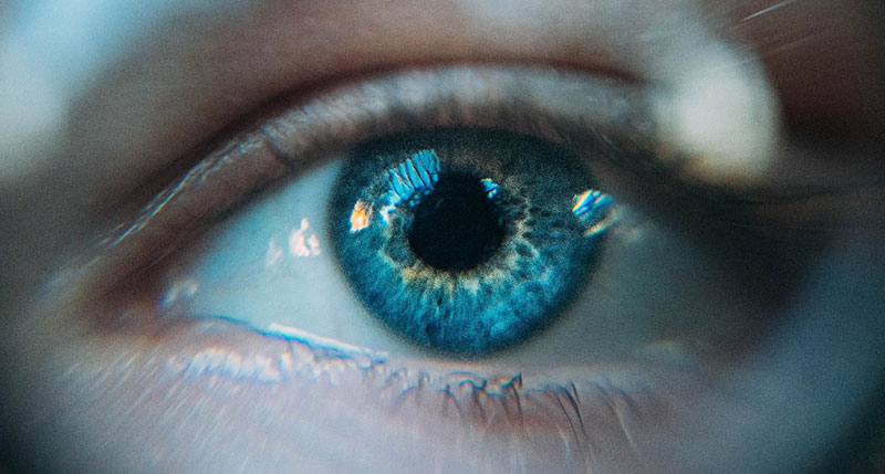 Blue Light and Digital Eye Strain: Tips for Screen Users