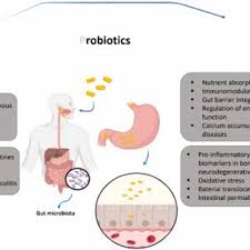 Common Myths About Gastroenterologists Debunked Common Myths About Gastroenterologists Debunked Common Myths About Gastroenterologists Debunked
