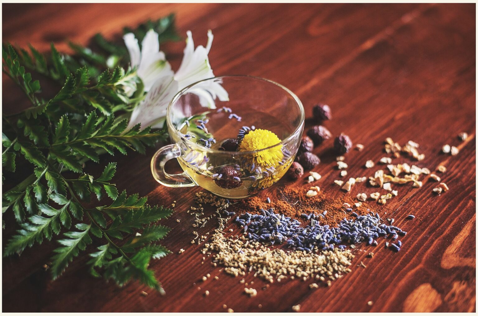 Exploring Alternative Therapies for Allergies Beyond Traditional Medicine