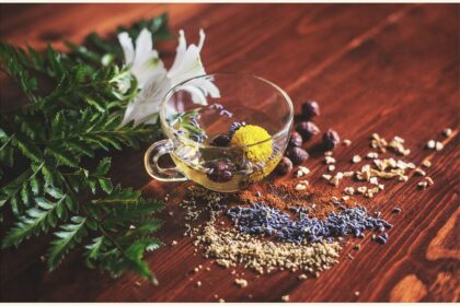 Exploring Alternative Therapies for Allergies Beyond Traditional Medicine