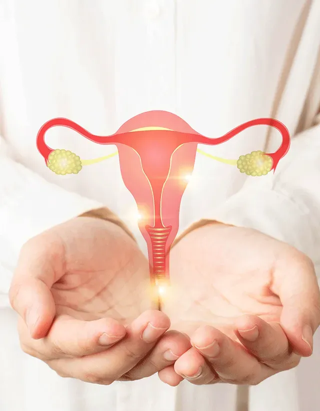 Understanding Your Cycle for Reproductive Health