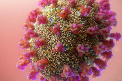 What To Do After a COVID-19 Diagnosis