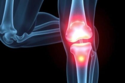 Understanding the Anatomy of Knee Pain